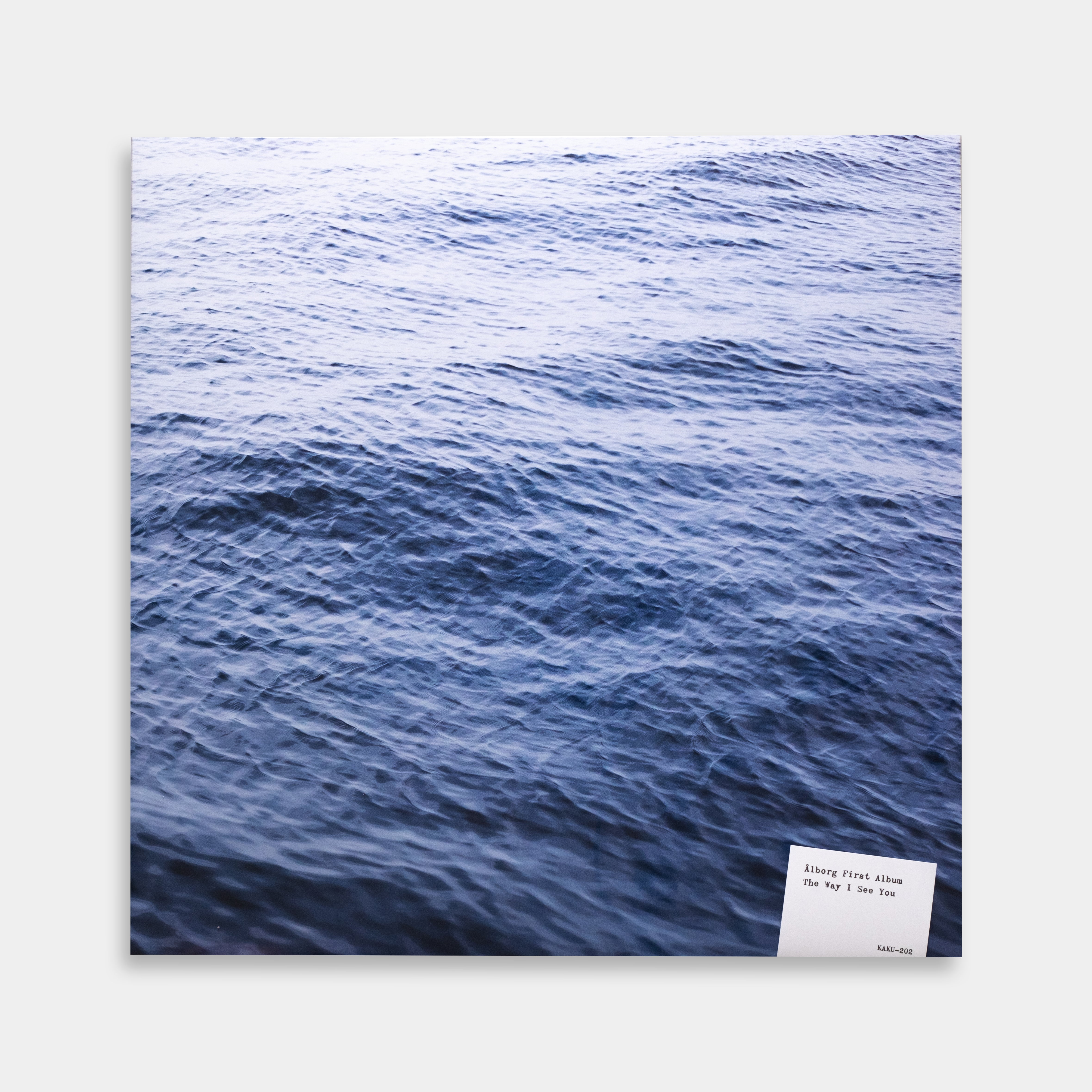 新品 Ålborg The Way I See You アナログ LP レコード Ålborg - The Way I See You【レコード】 – Staghorn Records