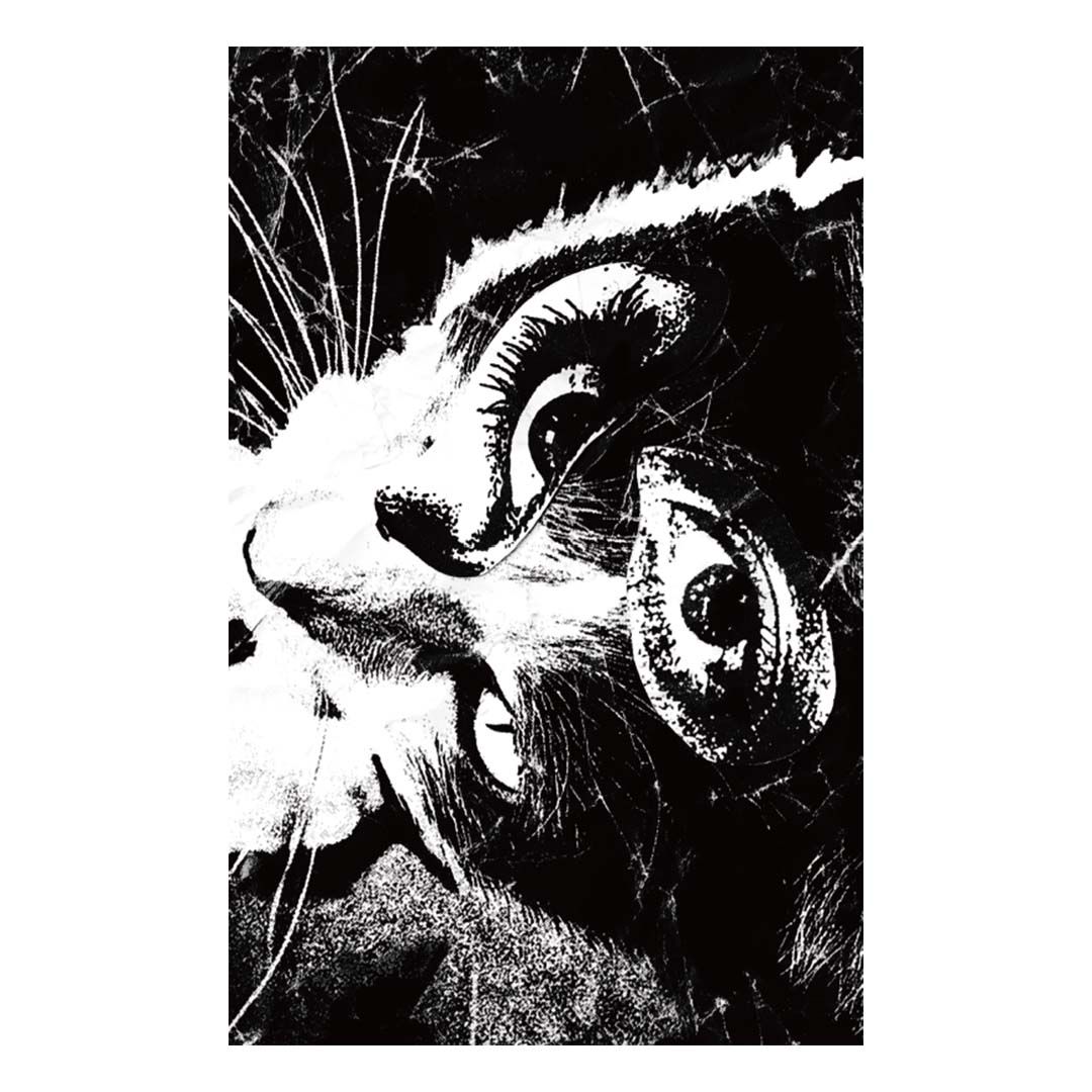 Remains【期間限定販売】