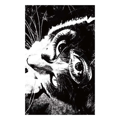 Remains【期間限定販売】