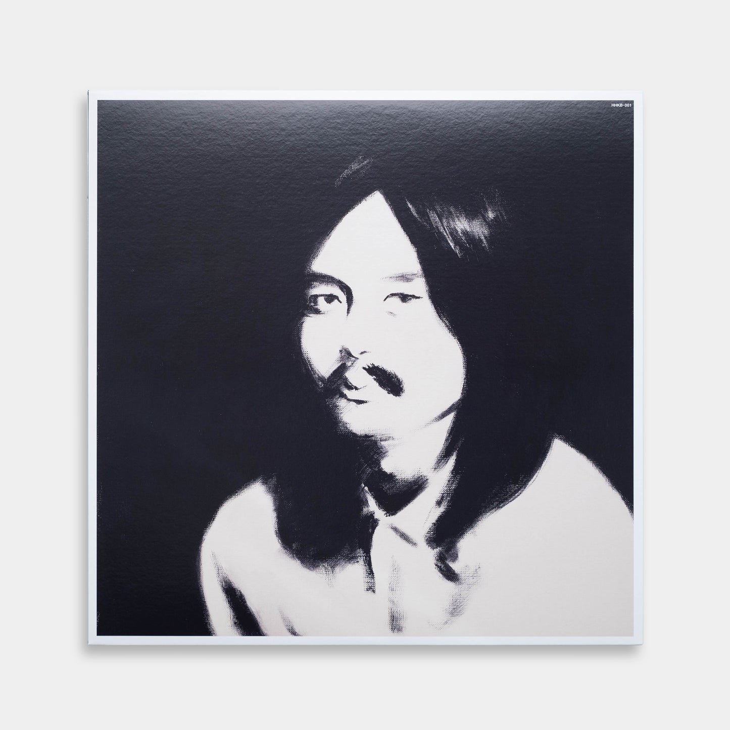 HOSONO HOUSE COVERS