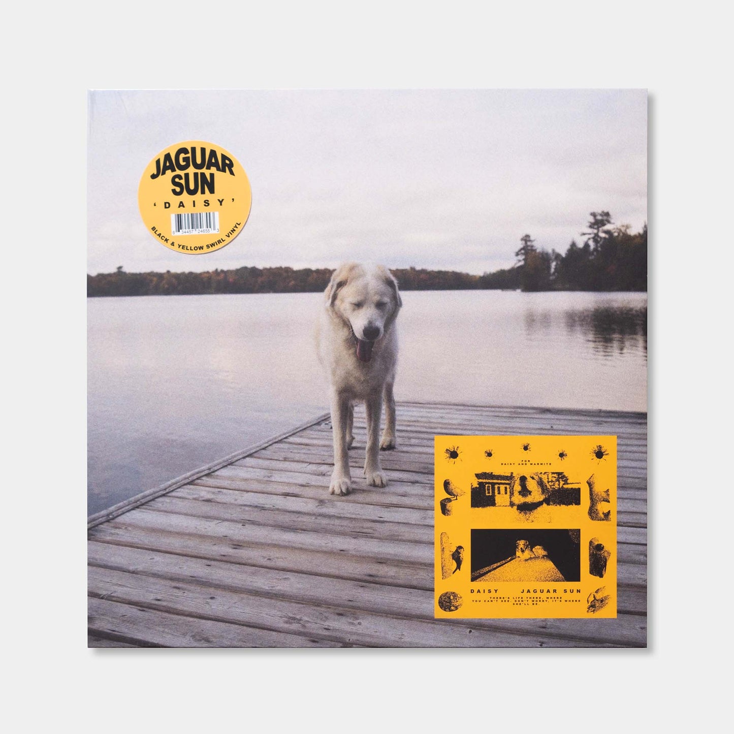 Daisy【Black & Yellow Swirl Color Vinyl】