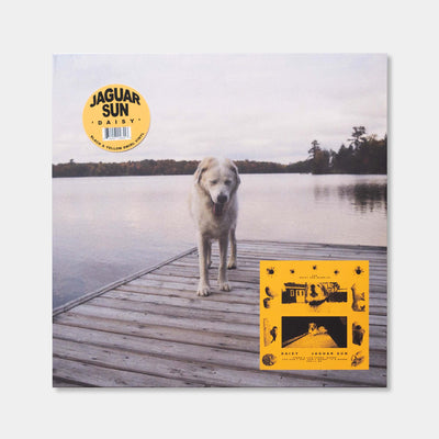 Daisy【Black & Yellow Swirl Color Vinyl】