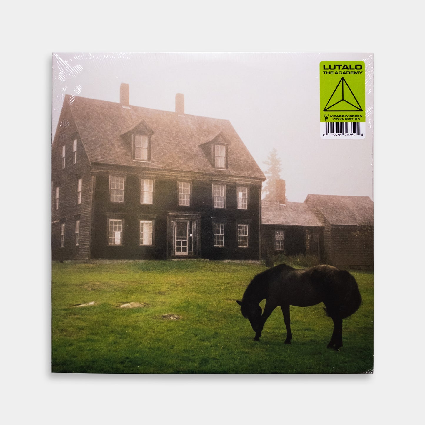 The Academy(Colored Vinyl)