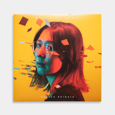 柴田聡子 - ぼちぼち銀河【レコード】