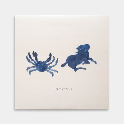 soraya - soraya【レコード】