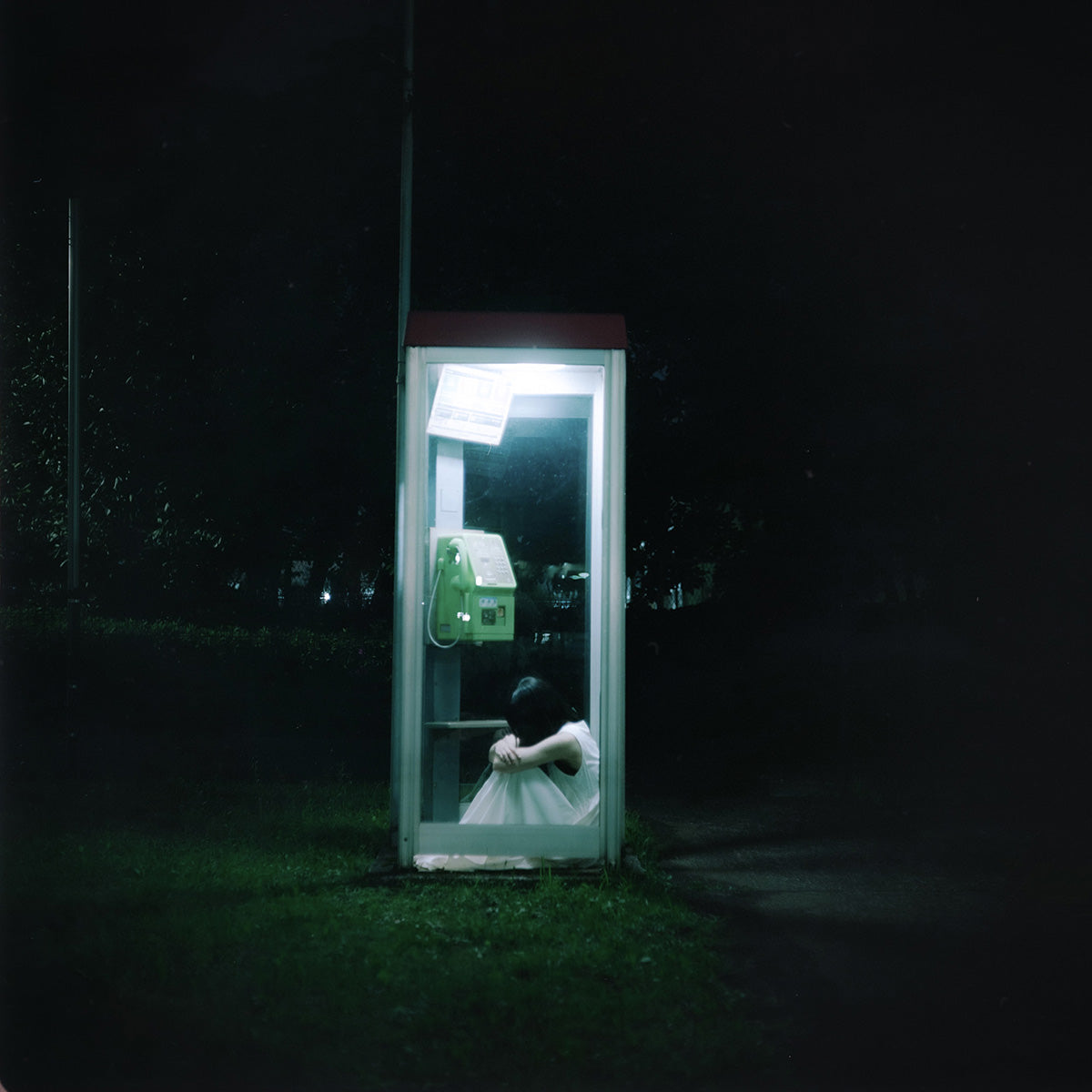 pothos【2LP】【予約商品】
